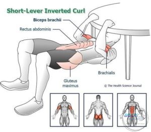 Short Lever Inverted Curl