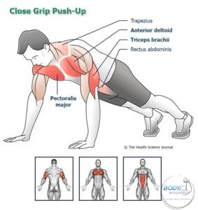 Close-Grip-Push-Up-bodybuilding4arab.com