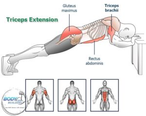 Triceps-Extension