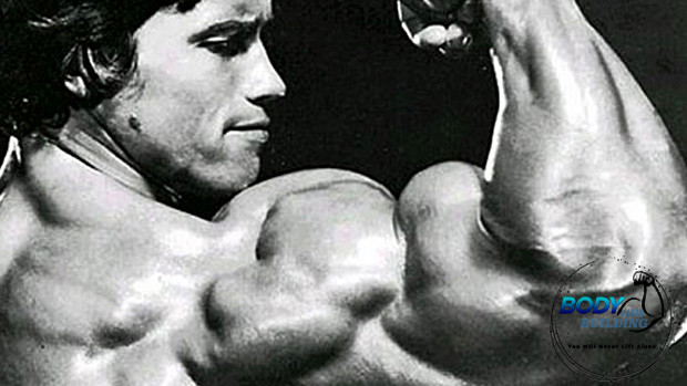 5 أشياء يمكن أن نتعلمها من Arnold عن بناء العضلات (1)