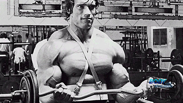 5 أشياء يمكن أن نتعلمها من Arnold عن بناء العضلات (2)