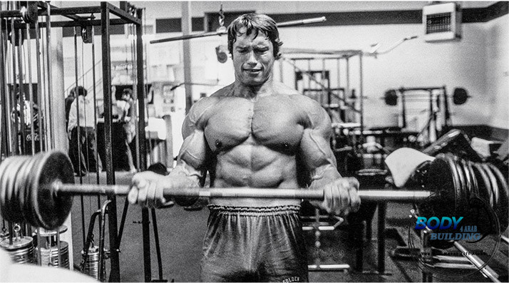 5 أشياء يمكن أن نتعلمها من Arnold عن بناء العضلات (4)