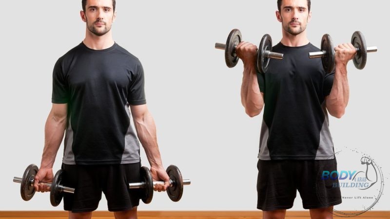 الطريقة الصحيحة لتنفيذ تمرين الباى سيبس Biceps Curl