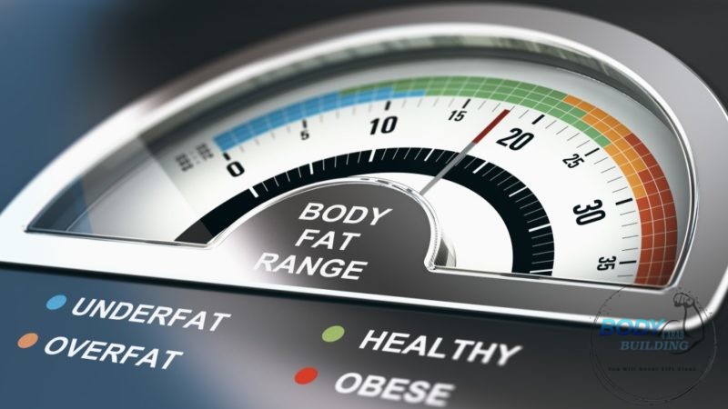 كيفية حساب نسبة الدهون فى الجسم