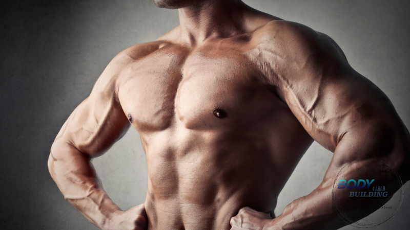 أفضل تمارين عضلات الصدر: 7 تمارين يجب القيام بها لتضخيم العضلات