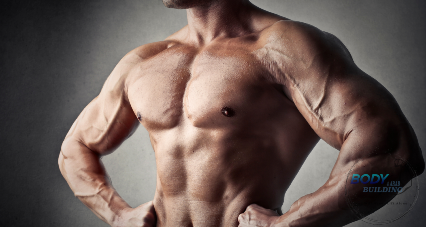 أفضل تمارين عضلات الصدر: 7 تمارين يجب القيام بها لتضخيم العضلات